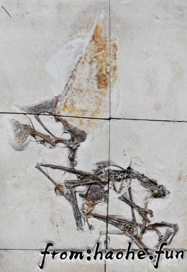 %title插图%num %title插图%num