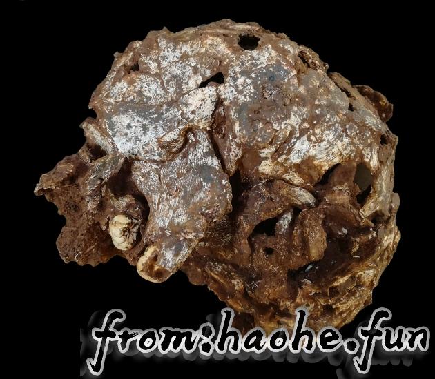 %title插图%num %title插图%num