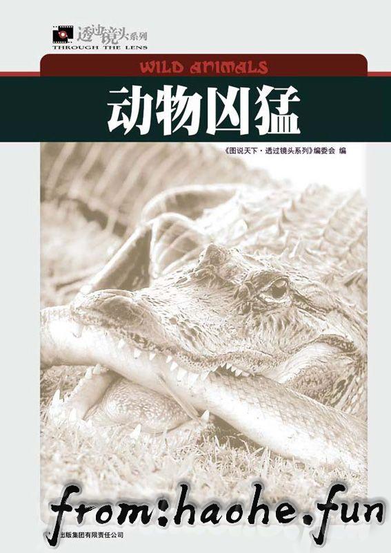 %title缩略图 %title缩略图