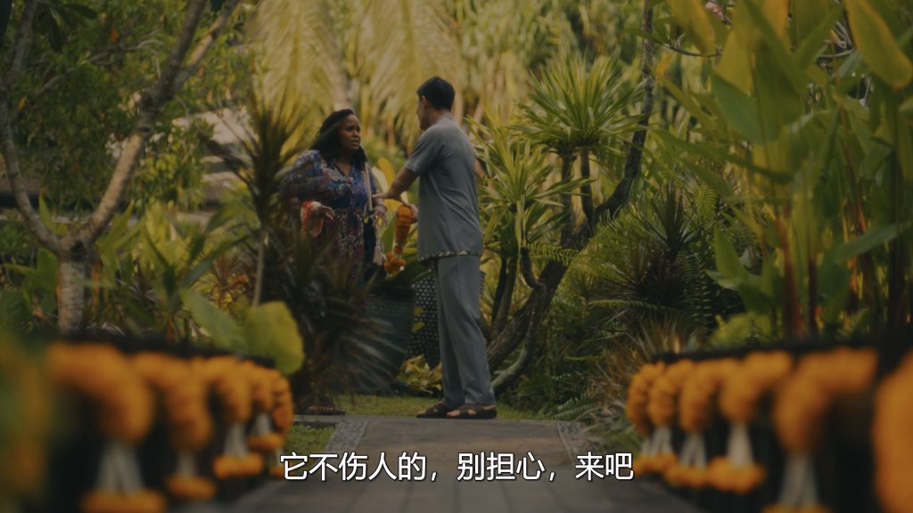 %title插图%num %title插图%num