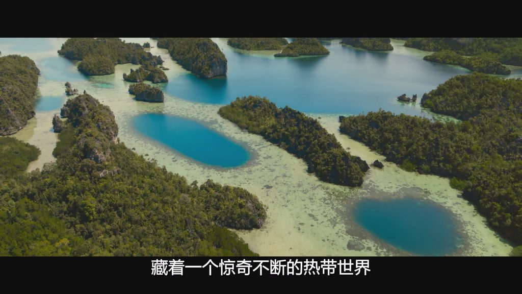 %title插图%num %title插图%num